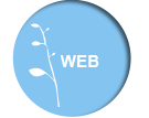 Icon-Web